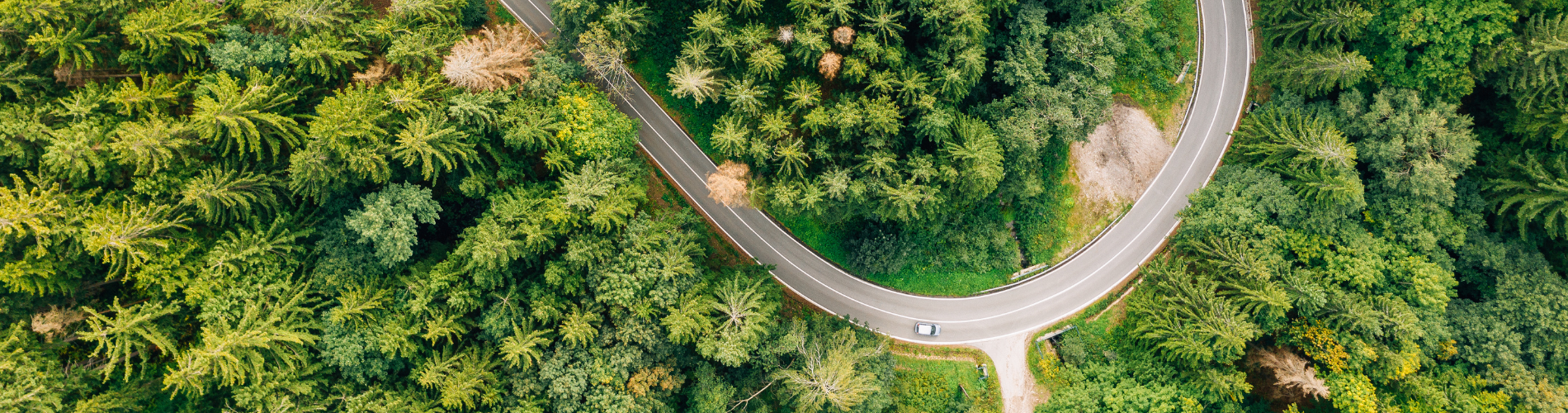 An aerial photo of an empty, curved road sweeping through a lush green forest.