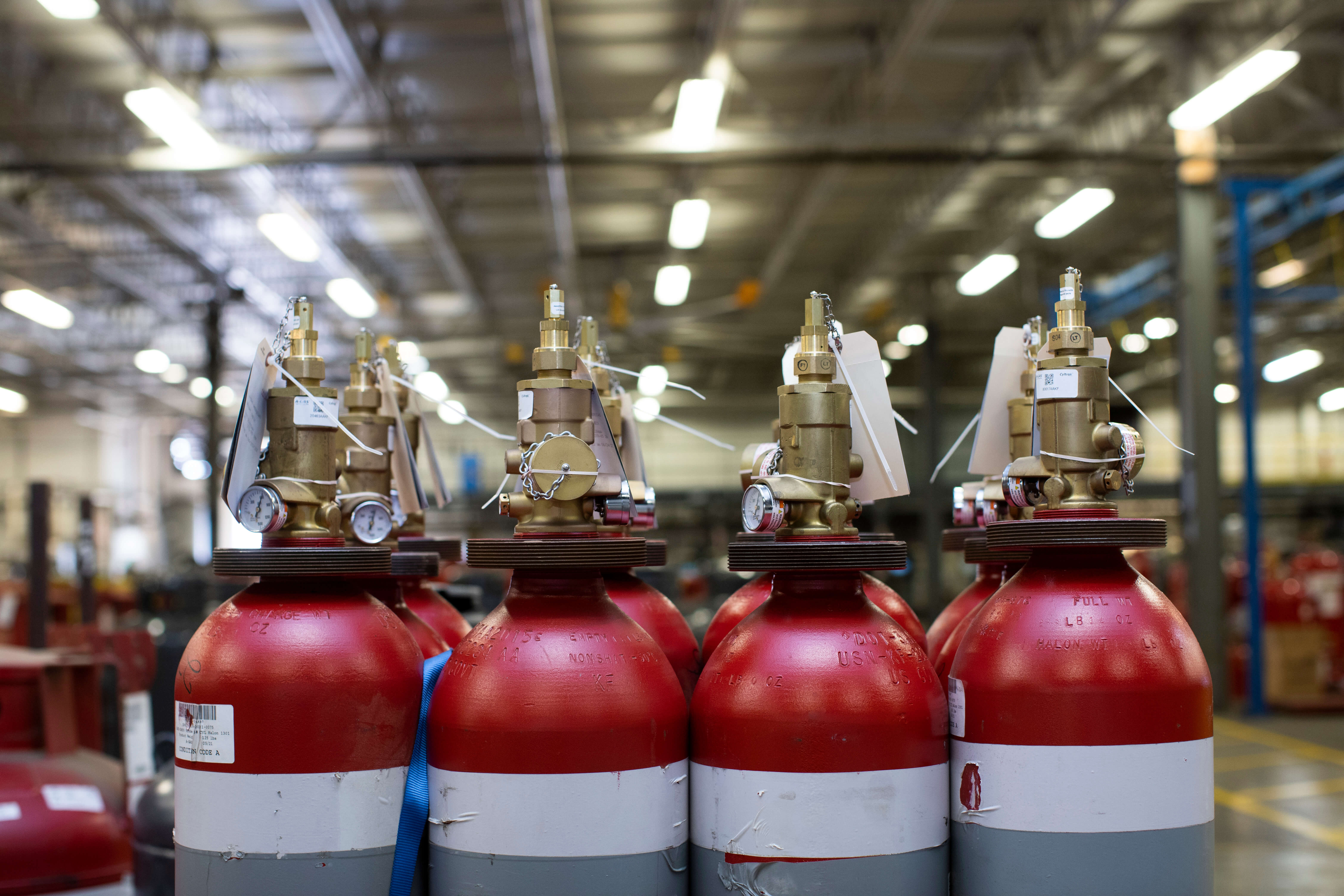 Fire extinguishers in a line next to each other