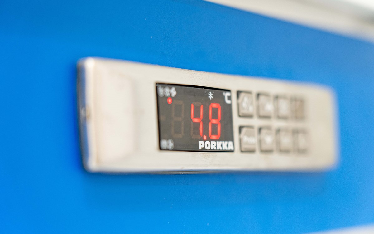 Temperature measuring device on a wall