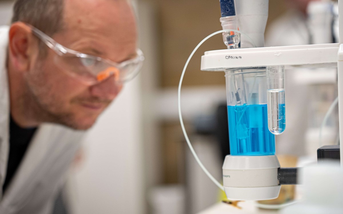 Man looks at container with blue liquid